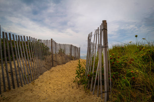 Fenced beach access with views of wild plants and dramatic cloudy sky stock photo