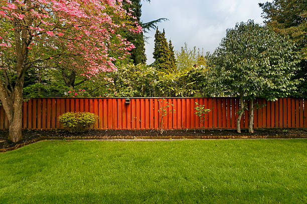 Fenced Yard Perfect little yard. fence stock pictures, royalty-free photos & images