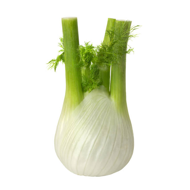 Fennel isolated on a white background close-up. Fennel isolated on a white background close-up. fennel stock pictures, royalty-free photos & images