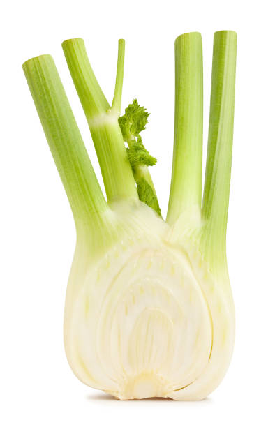 fennel sliced fennel path isolated fennel stock pictures, royalty-free photos & images