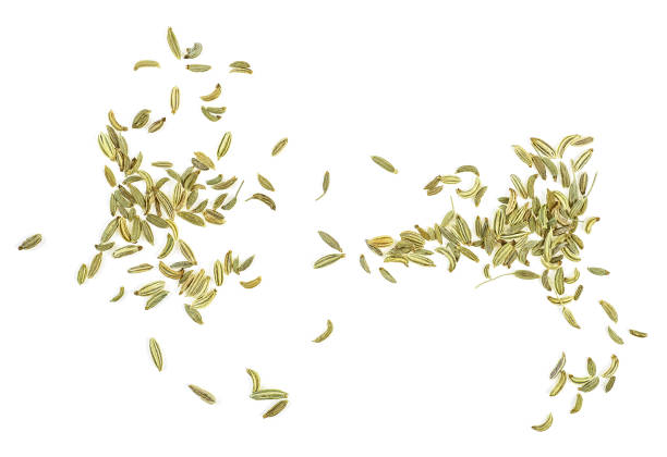 Fennel seeds isolated on a white background, top view. Fennel seeds isolated on a white background, top view. fennel stock pictures, royalty-free photos & images