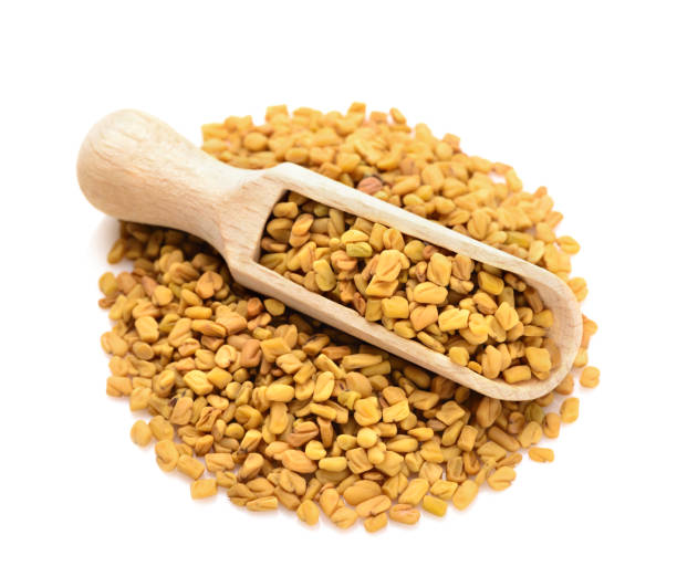 Fenugreek in a scoop for spices stock photo