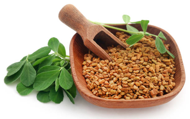 Fenugreek seeds with green leaves Fenugreek seeds with green leaves over white fenugreek stock pictures, royalty-free photos & images