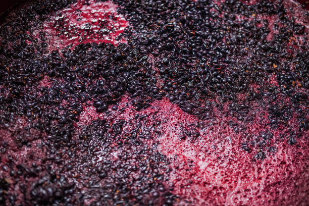 Fermentation of grape must, winemaking concept. Top view. Fermentation of grape must, winemaking concept. A top view. fermenting stock pictures, royalty-free photos & images