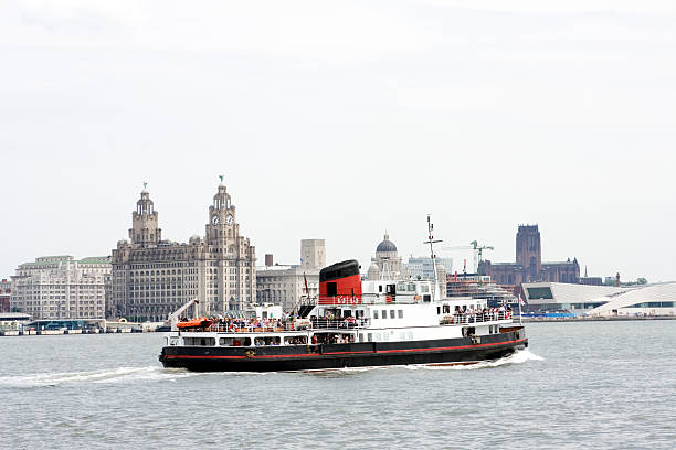 Ferry across the Mersey The famous Mersey Ferry in Liverpool passing in front of the Royal Liver Building. river mersey liverpool stock pictures, royalty-free photos & images
