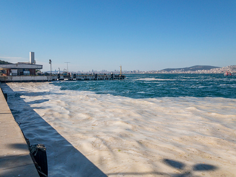 Environmental damage through mucilage, is a thick, gluey substance at the Marmara sea in Istanbul, Turkey. Water microorganism pollution visible as dirty foam on surface. Global climate warming is effecting the sea life and killing fishes. It is a polar glycoprotein and an exopolysaccharide.
