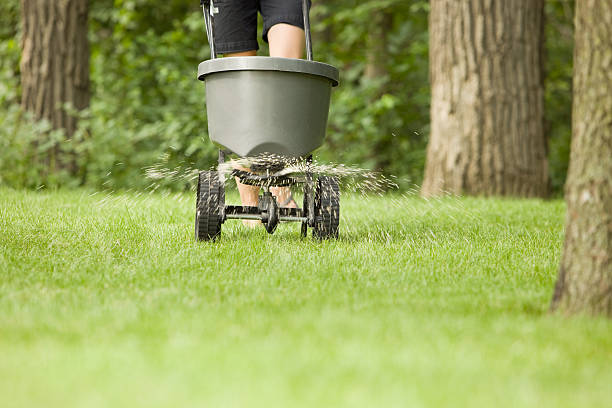 Fertilizer Spreader with Pellets Spraying on Grass  fertilizer photos stock pictures, royalty-free photos & images