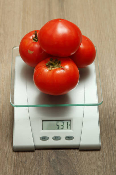 Few fresh tomatoes on the scales. stock photo