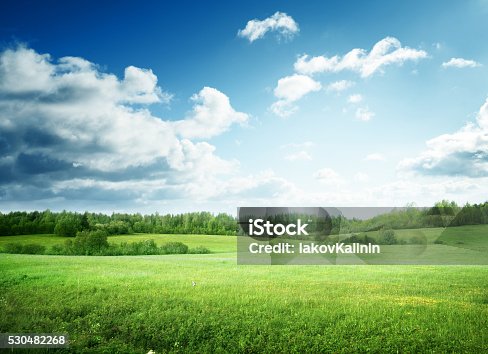 istock field of grass and perfect sky 530482268