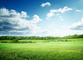 istock field of grass and perfect sky 530482268