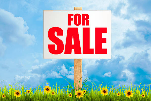 Field of green grass and sky with For sale sign stock photo
