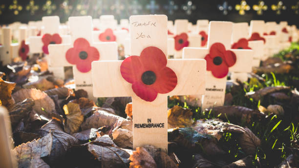 Field of small wooden crosses with poppies commemorating the end of World War One, on Remembrance Sunday, Edinburgh, Scotland.