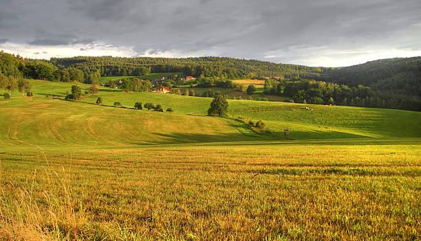 Fields in Germany Fields in Germany odenwald stock pictures, royalty-free photos & images