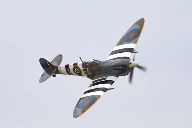 WWII fighter plane (Supermarine Spitfire Mk IX) WWII fighter plane (Supermarine Spitfire Mk IX, in the Free French color scheme) ww2 american fighter planes stock pictures, royalty-free photos & images