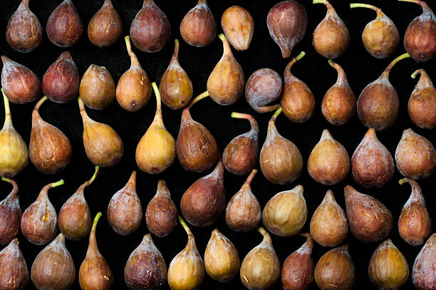 Figs in a Row stock photo
