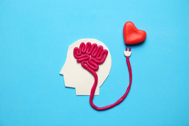 Figure of man with brain and red heart. Love and intelligence Figure of man with brain and red heart. Love and intelligence. love emotion stock pictures, royalty-free photos & images
