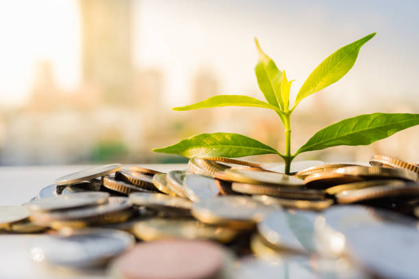 Financial Growth, Plant on pile coins with cityscape background stock photo