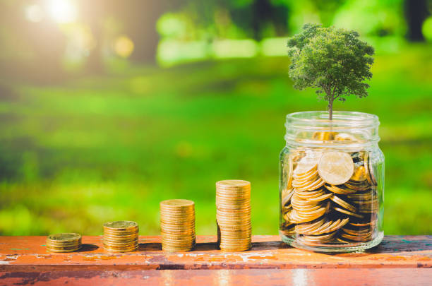 koncepcji oszczędzania pieniędzy. zielona roślina rosnąca na stosie monet. - esg zdjęcia i obrazy z banku zdjęć