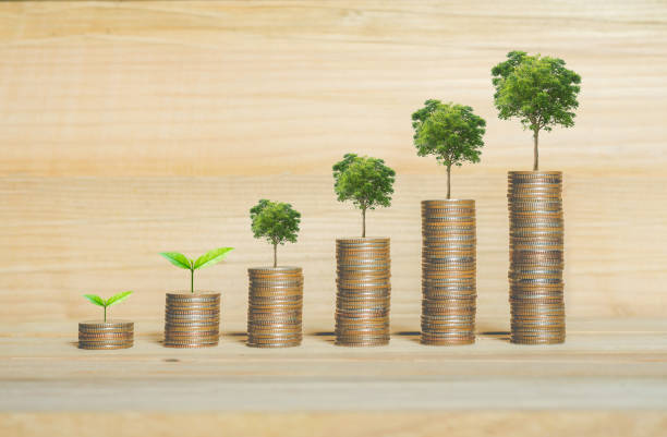 금융 비용 절감 개념. 동전 스택에 성장 하는 녹색 식물. - esg 뉴스 사진 이미지