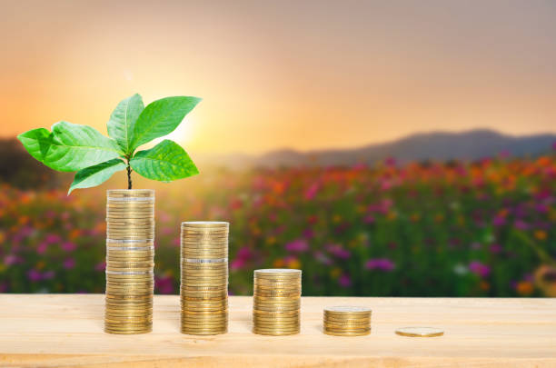 金融省錢概念。生長在硬幣堆上的綠色植物。 - esg 個照片及圖片檔