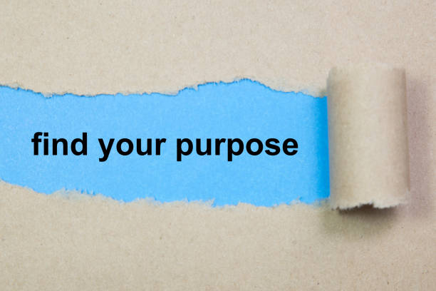 find your purpose text on paper. Word find your purpose on torn paper. Concept Image. stock photo