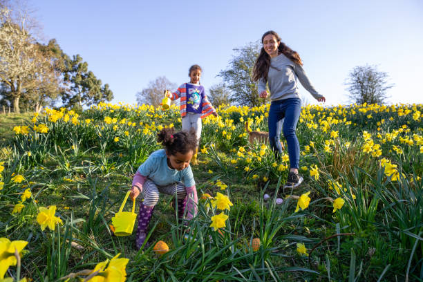 Finding Another Easter Egg A mother and her two young daughters walking through a field of daffodil flowers in Hexham, Northumberland. They are searching for eggs on an Easter egg hunt, they are holding their baskets to collect the eggs. easter sunday stock pictures, royalty-free photos & images