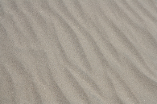 Fine sand, beautifully textured by the wind.