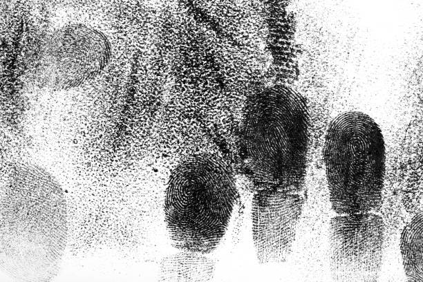 Fingerprint dust showing black fingerprints on white surface stock photo