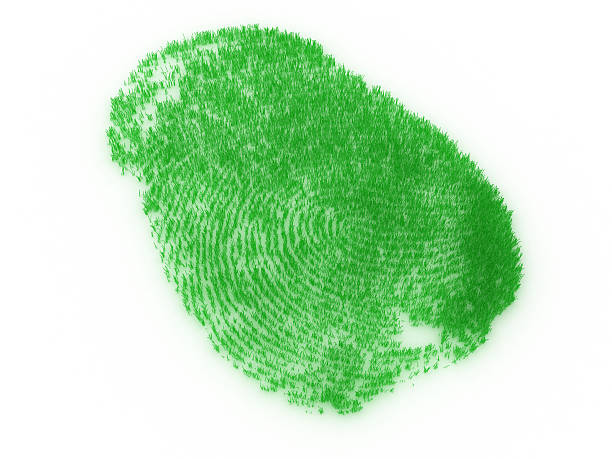 Fingerprint from grass stock photo