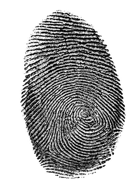 Fingerprint in Black and White stock photo
