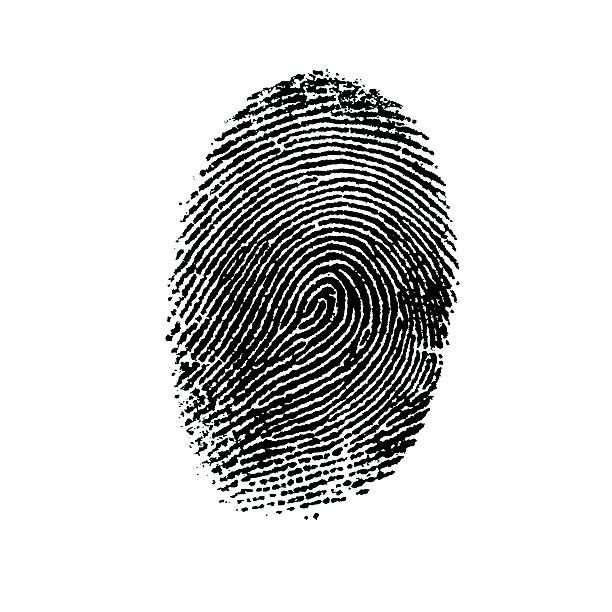 Fingerprint-4 black fingerprint on a white background fingerprint stock pictures, royalty-free photos & images