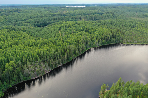 Finland lake nature landscape forest wilderness