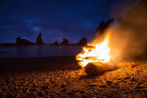 Fire at the Beach Giant fire at the beach during a vibrant sunset. Taken in Shi Shi Beach, Neah Bay, Washington Coast, North America. neah bay stock pictures, royalty-free photos & images