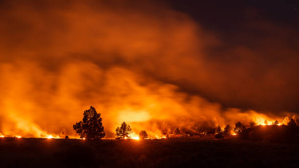wildfire risk map california