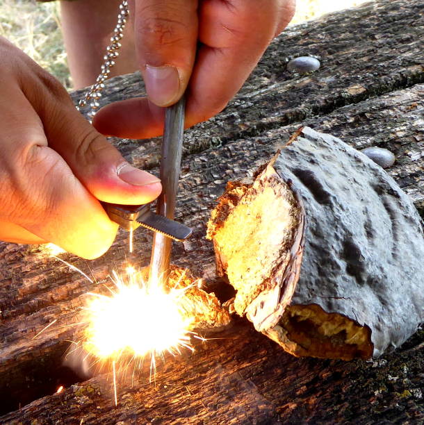 Fire starter and tander mushroom Feurstarter and tinder fungus bushcraft stock pictures, royalty-free photos & images