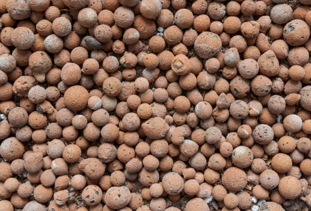 fired clay hydro pellets for growing hydroponics stock photo