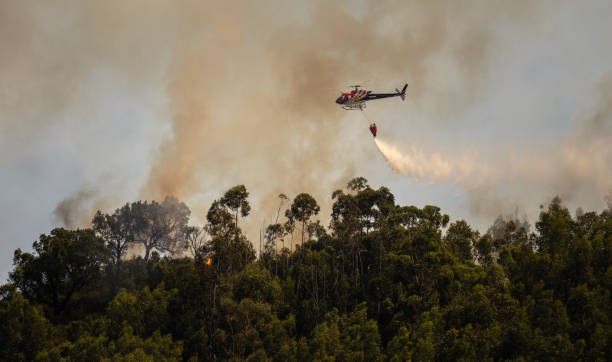 firefighter helicopter fighting against a forest fire during day in povoa de lanhoso, portugal. - fire portugal imagens e fotografias de stock