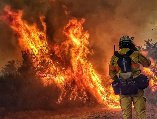 firefighter - fire portugal imagens e fotografias de stock