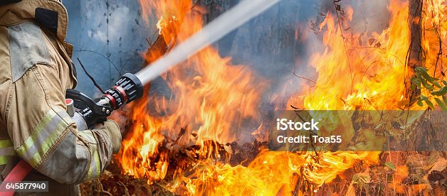 istock firefighters spray water to wildfire 645877940
