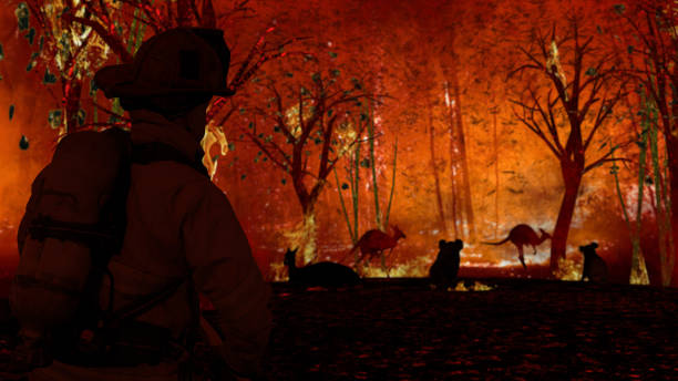 Fireman is looking at aussie animals in wildfire. Kangaroos, koalas all need help from people 3d rendering stock photo