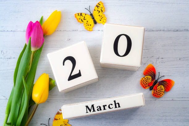 First day of Spring and springtime equinox concept theme with block calendar set on March 20, two yellow tulips and one pink tulip and butterflies isolated on a rustic white wooden background stock photo