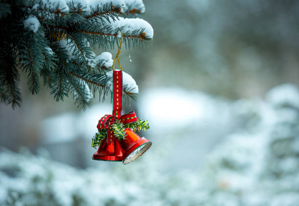 First snow. Christmas card. Christmas bells on a snow-covered branch of a juniper. Selective focus. stock photo
