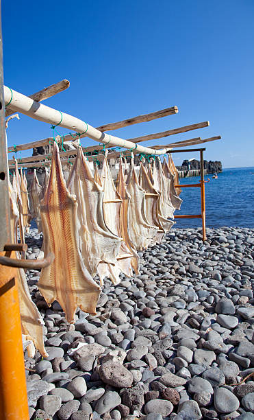 Fish drying in the sun stock photo