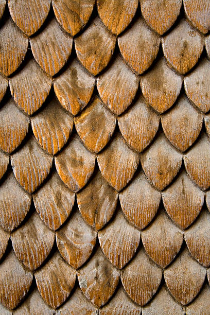 Fish Scale Design on Wall stock photo