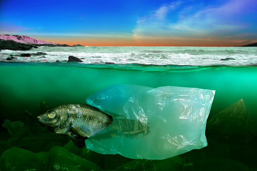 Fish swim amongst the garbage in the ocean. Plastic bag pollution problem under the sea concept (environment)