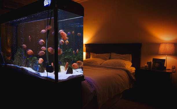 Fish Tank Aquarium In Bedroom Stock Photo Download Image
