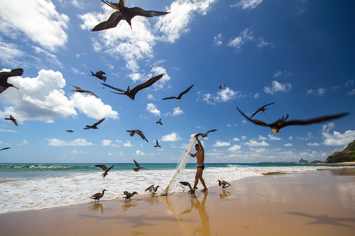 Fernando do Norohna, Brazil. August 10, 2013. Fisherman on land caught fish with sea birds waiting to catch a meal on beach of the island of Fernando de Norohna, Brazil.