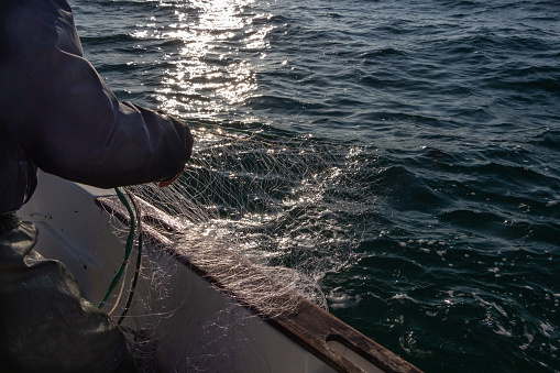 Fisherman bringing back net in a boat in Brittany