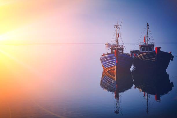 Fishing boat at sunset Fishing boat at sunset dhow stock pictures, royalty-free photos & images
