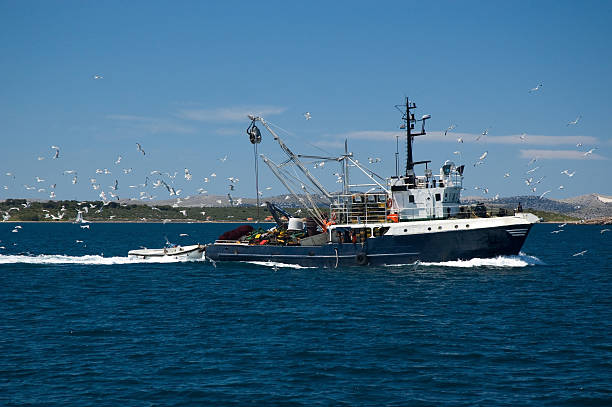 fishing boat stock photo